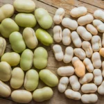 Close-up of Lima Beans and Butter Beans showing size and color differences